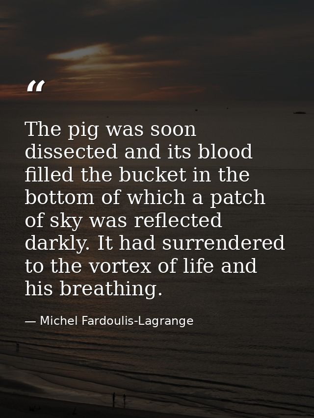 The pig was soon dissected and its blood filled the bucket in the bottom of which a patch of sky was reflected darkly. I — Michel Fardoulis-Lagrange