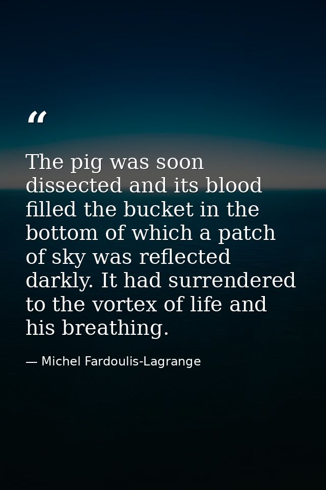 The pig was soon dissected and its blood filled the bucket in the bottom of which a patch of sky was reflected darkly. I — Michel Fardoulis-Lagrange