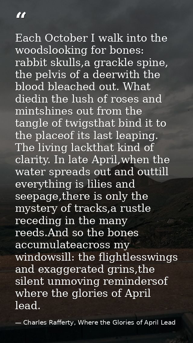 Each October I walk into the woodslooking for bones: rabbit skulls,a grackle spine, the pelvis of a deerwith the blood b — Charles Rafferty, Where the Glories of April Lead