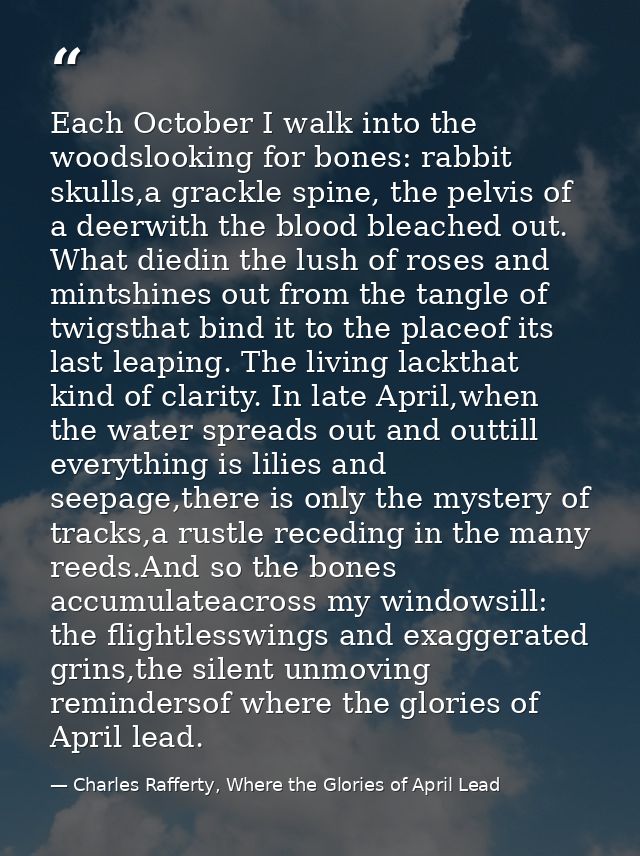 Each October I walk into the woodslooking for bones: rabbit skulls,a grackle spine, the pelvis of a deerwith the blood b — Charles Rafferty, Where the Glories of April Lead