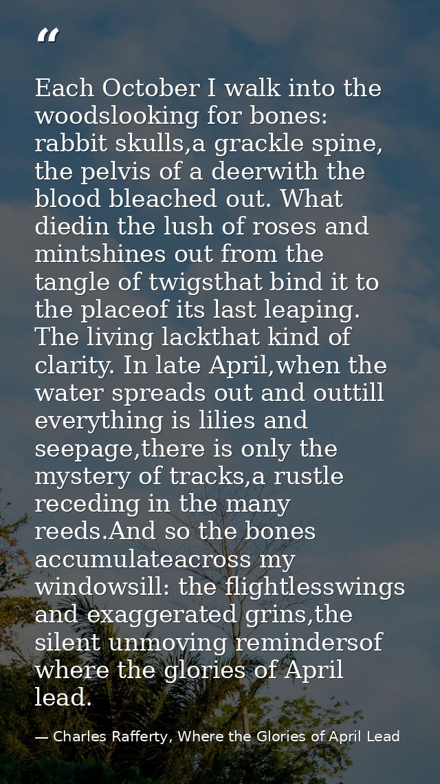 Each October I walk into the woodslooking for bones: rabbit skulls,a grackle spine, the pelvis of a deerwith the blood b — Charles Rafferty, Where the Glories of April Lead