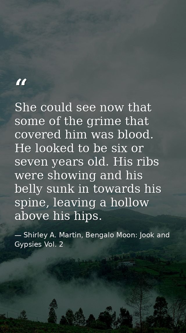 She could see now that some of the grime that covered him was blood. He looked to be six or seven years old. His ribs we — Shirley A. Martin, Bengalo Moon: Jook and Gypsies Vol. 2
