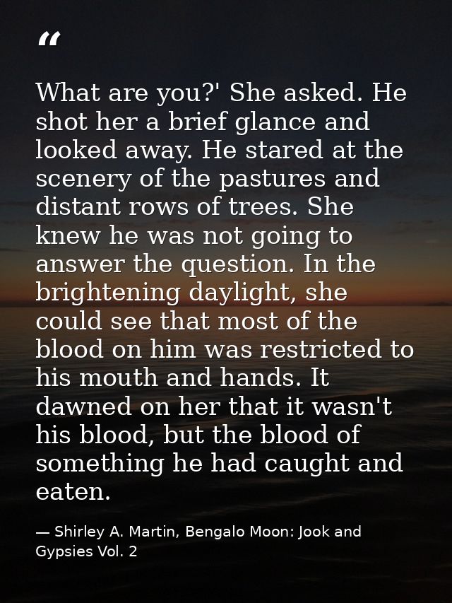 What are you?' She asked. He shot her a brief glance and looked away. He stared at the scenery of the pastures and dista — Shirley A. Martin, Bengalo Moon: Jook and Gypsies Vol. 2