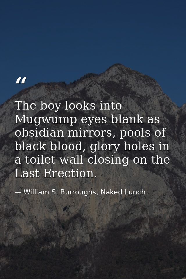 The boy looks into Mugwump eyes blank as obsidian mirrors, pools of black blood, glory holes in a toilet wall closing on — William S. Burroughs, Naked Lunch