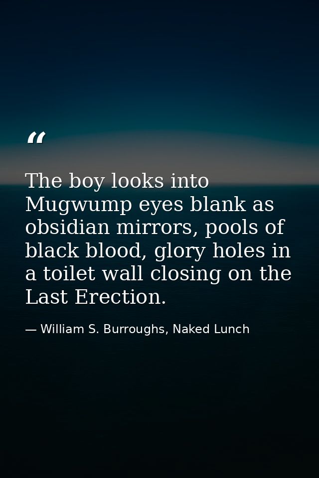 The boy looks into Mugwump eyes blank as obsidian mirrors, pools of black blood, glory holes in a toilet wall closing on — William S. Burroughs, Naked Lunch
