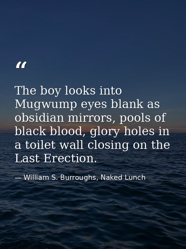 The boy looks into Mugwump eyes blank as obsidian mirrors, pools of black blood, glory holes in a toilet wall closing on — William S. Burroughs, Naked Lunch