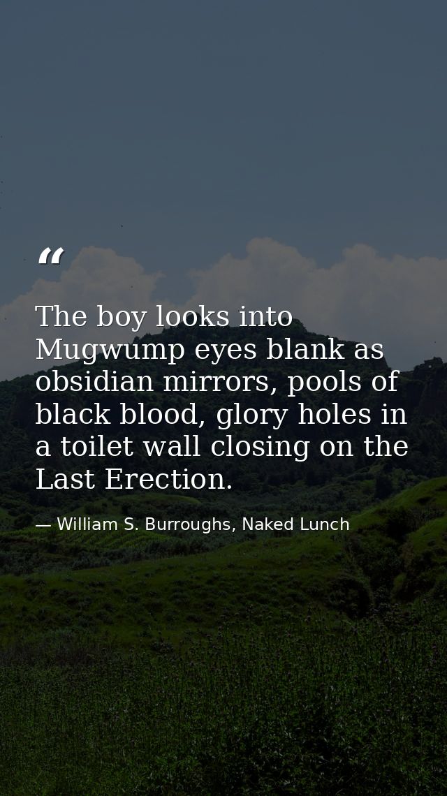 The boy looks into Mugwump eyes blank as obsidian mirrors, pools of black blood, glory holes in a toilet wall closing on — William S. Burroughs, Naked Lunch