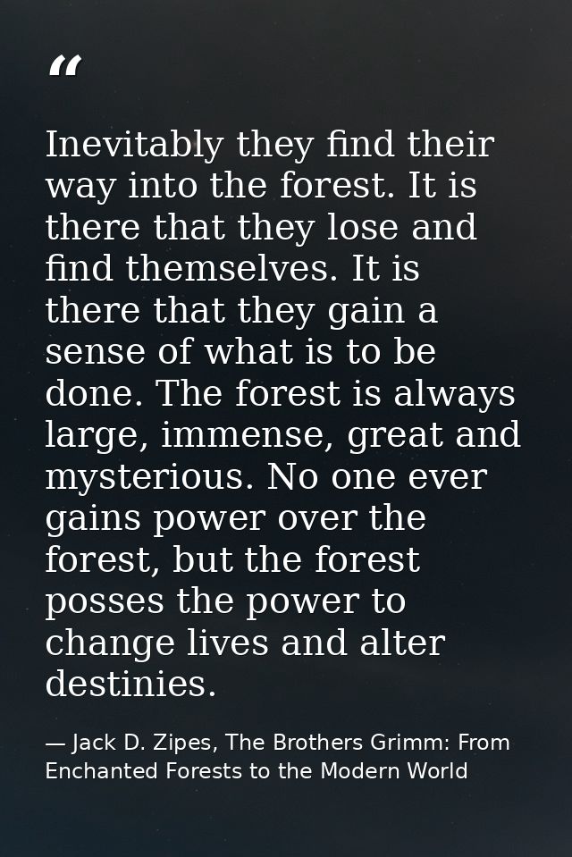 Inevitably they find their way into the forest. It is there that they lose and find themselves. It is there that they ga — Jack D. Zipes, The Brothers Grimm: From Enchanted Forests to the Modern World