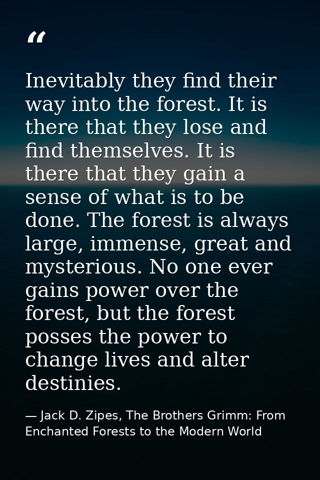 Inevitably they find their way into the forest. It is there that they lose and find themselves. It is there that they ga — Jack D. Zipes, The Brothers Grimm: From Enchanted Forests to the Modern World