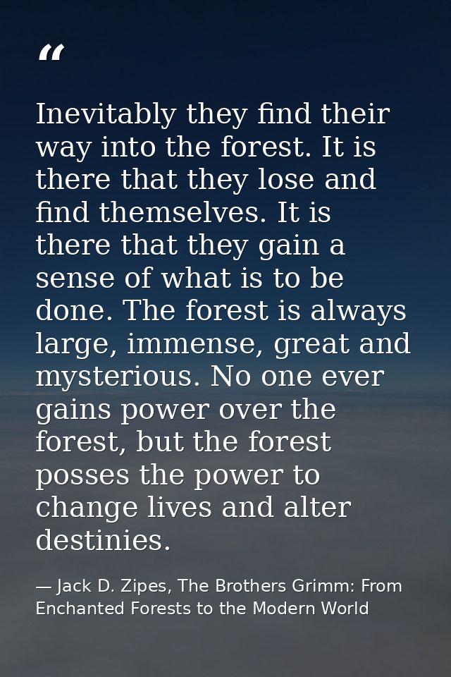 Inevitably they find their way into the forest. It is there that they lose and find themselves. It is there that they ga — Jack D. Zipes, The Brothers Grimm: From Enchanted Forests to the Modern World