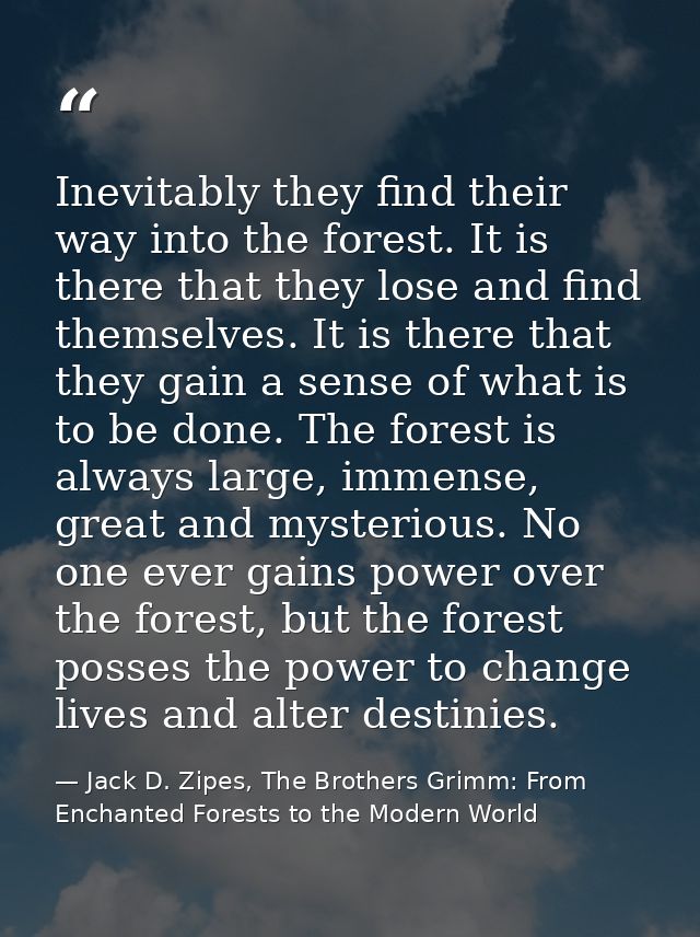 Inevitably they find their way into the forest. It is there that they lose and find themselves. It is there that they ga — Jack D. Zipes, The Brothers Grimm: From Enchanted Forests to the Modern World