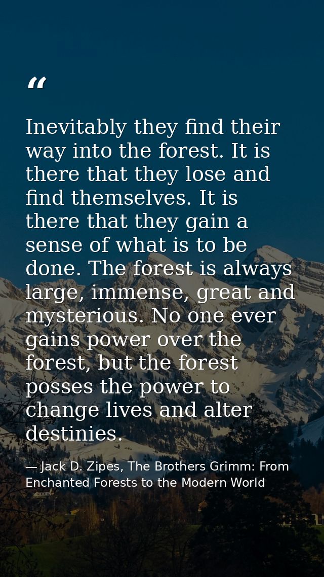 Inevitably they find their way into the forest. It is there that they lose and find themselves. It is there that they ga — Jack D. Zipes, The Brothers Grimm: From Enchanted Forests to the Modern World