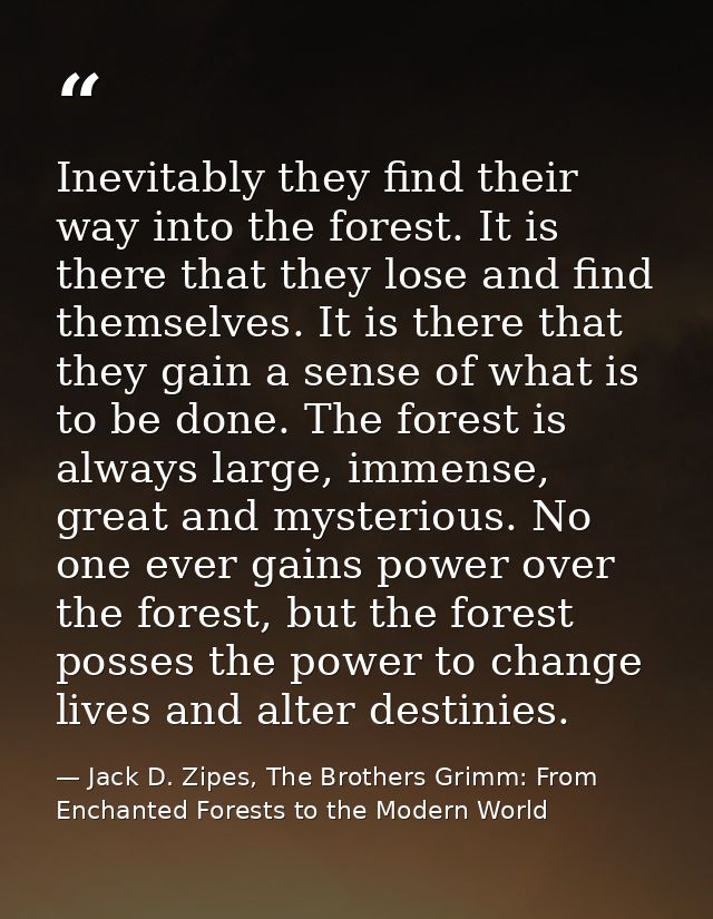 Inevitably they find their way into the forest. It is there that they lose and find themselves. It is there that they ga — Jack D. Zipes, The Brothers Grimm: From Enchanted Forests to the Modern World