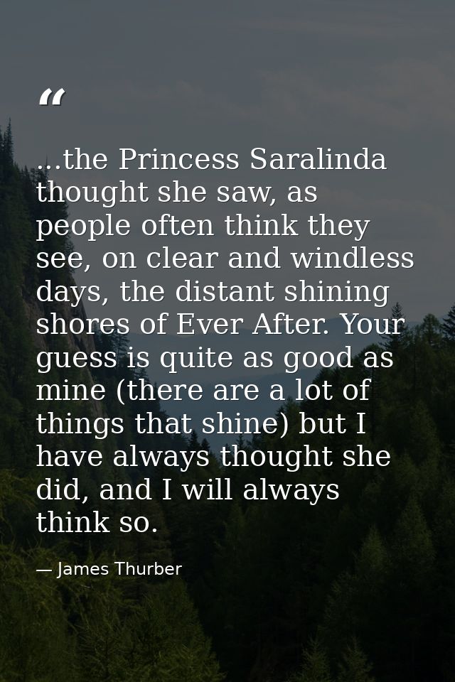 ...the Princess Saralinda thought she saw, as people often think they see, on clear and windless days, the distant shini — James Thurber
