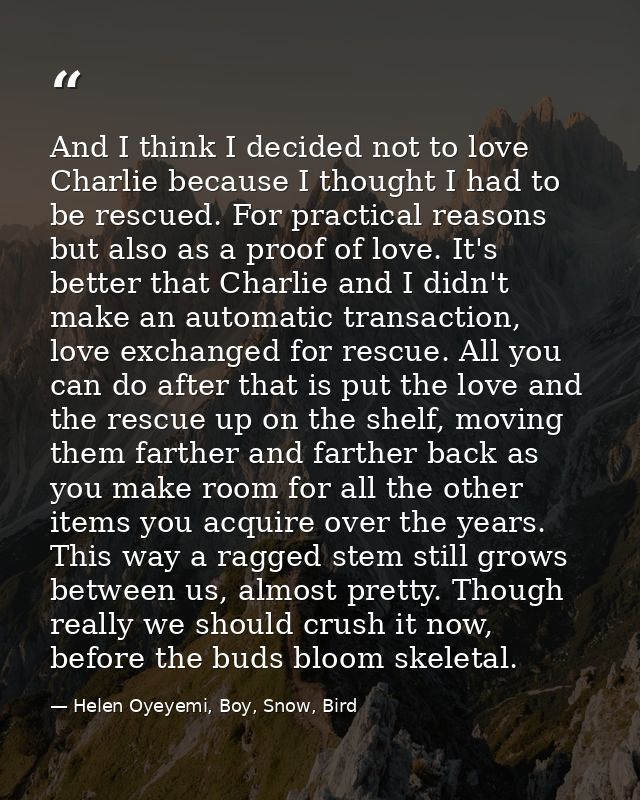 And I think I decided not to love Charlie because I thought I had to be rescued. For practical reasons but also as a pro — Helen Oyeyemi, Boy, Snow, Bird
