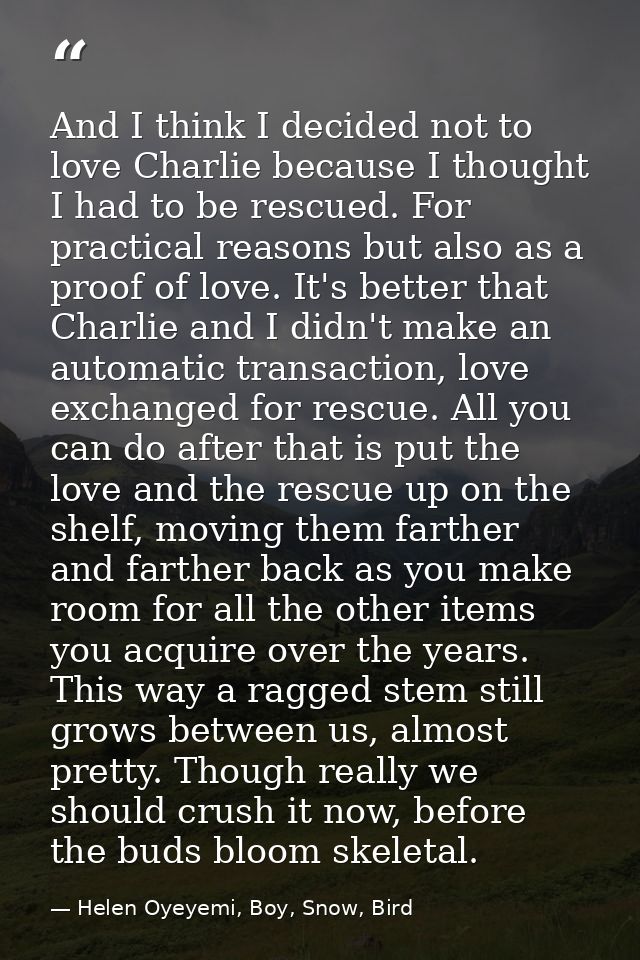 And I think I decided not to love Charlie because I thought I had to be rescued. For practical reasons but also as a pro — Helen Oyeyemi, Boy, Snow, Bird