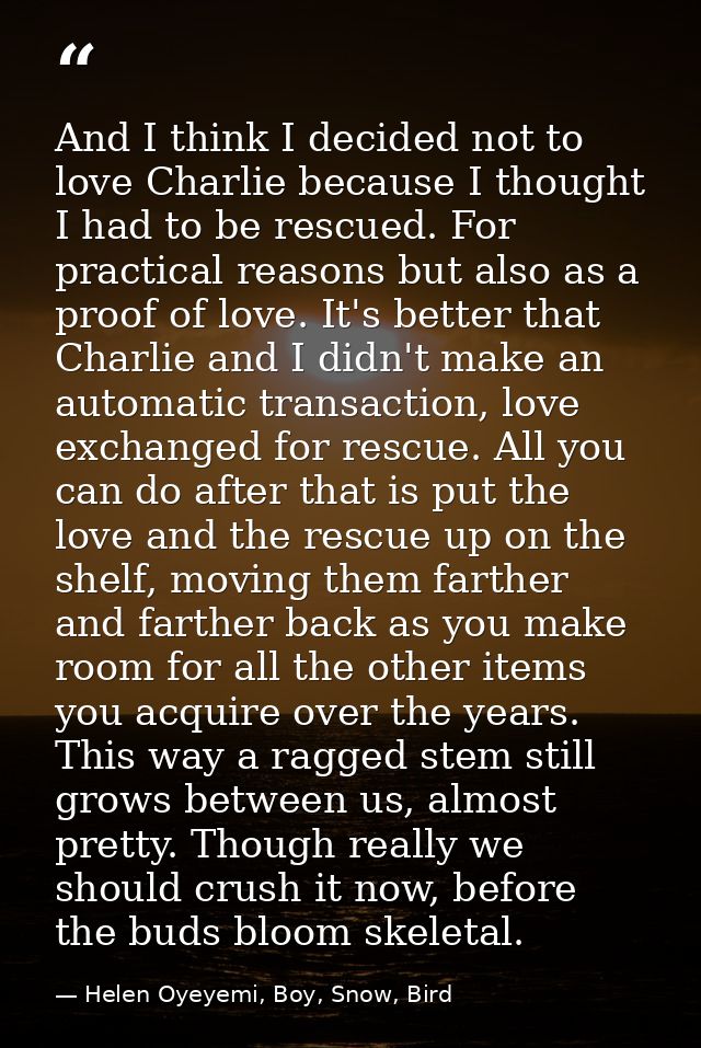 And I think I decided not to love Charlie because I thought I had to be rescued. For practical reasons but also as a pro — Helen Oyeyemi, Boy, Snow, Bird