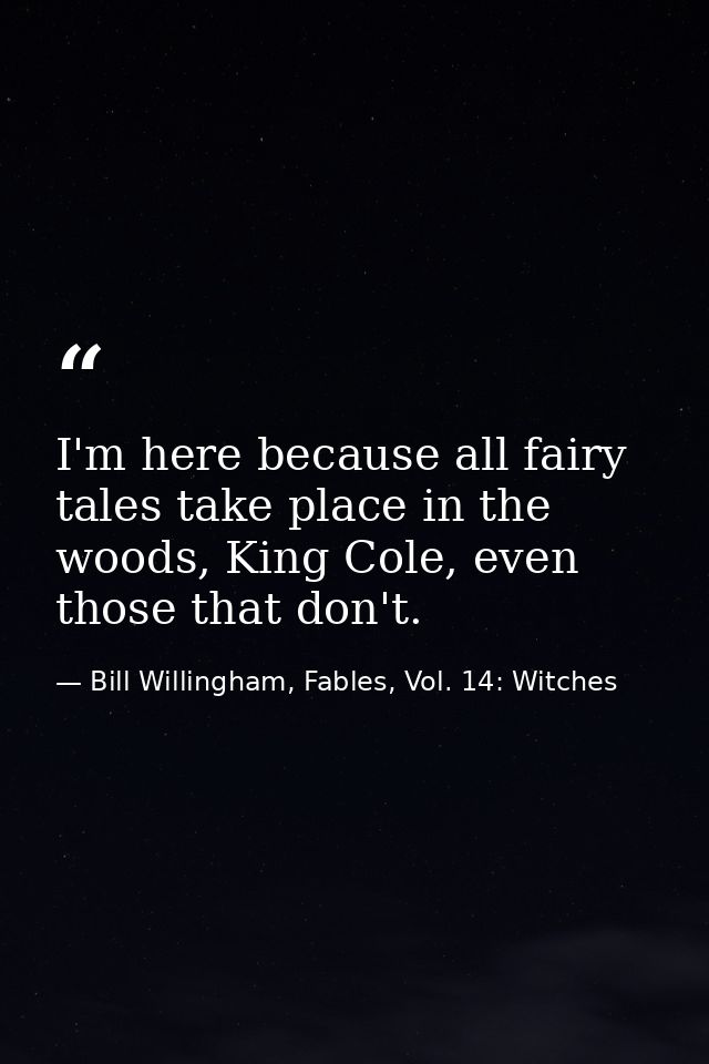 I'm here because all fairy tales take place in the woods, King Cole, even those that don't. — Bill Willingham, Fables, Vol. 14: Witches
