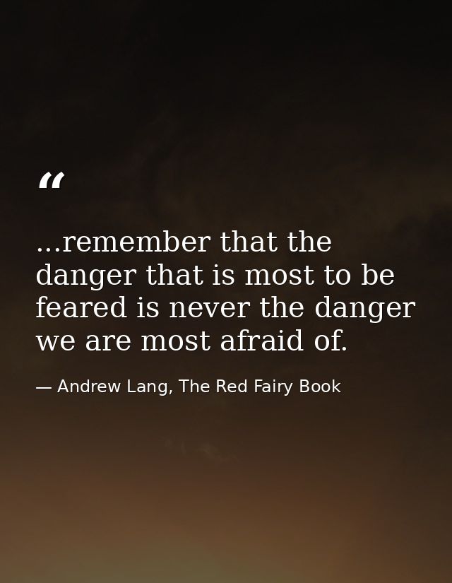 ...remember that the danger that is most to be feared is never the danger we are most afraid of. — Andrew Lang, The Red Fairy Book