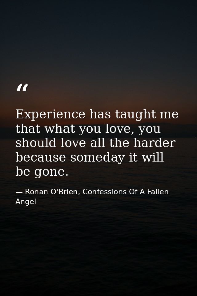 Experience has taught me that what you love, you should love all the harder because someday it will be gone. — Ronan O'Brien, Confessions Of A Fallen Angel
