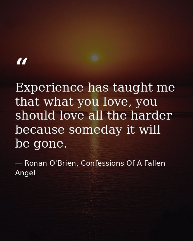 Experience has taught me that what you love, you should love all the harder because someday it will be gone. — Ronan O'Brien, Confessions Of A Fallen Angel