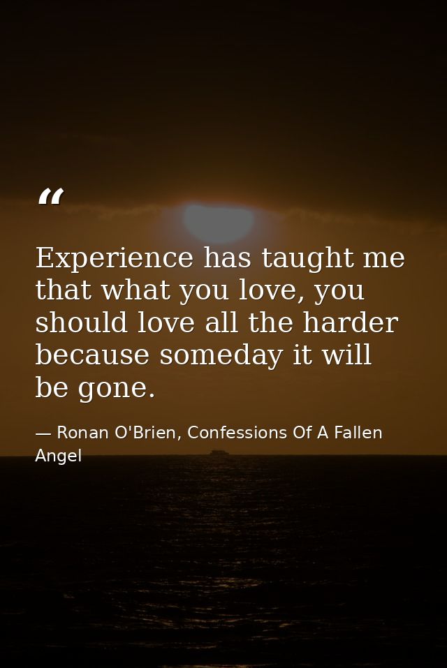 Experience has taught me that what you love, you should love all the harder because someday it will be gone. — Ronan O'Brien, Confessions Of A Fallen Angel