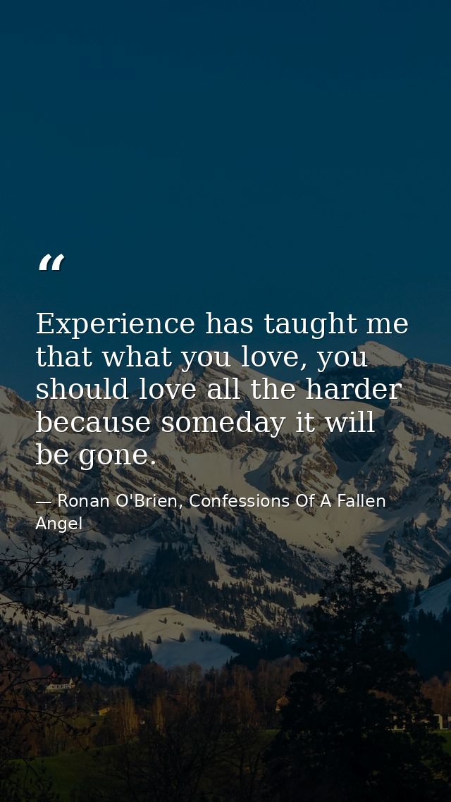 Experience has taught me that what you love, you should love all the harder because someday it will be gone. — Ronan O'Brien, Confessions Of A Fallen Angel