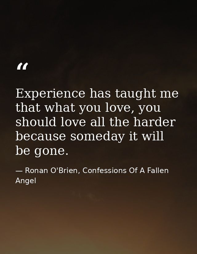 Experience has taught me that what you love, you should love all the harder because someday it will be gone. — Ronan O'Brien, Confessions Of A Fallen Angel