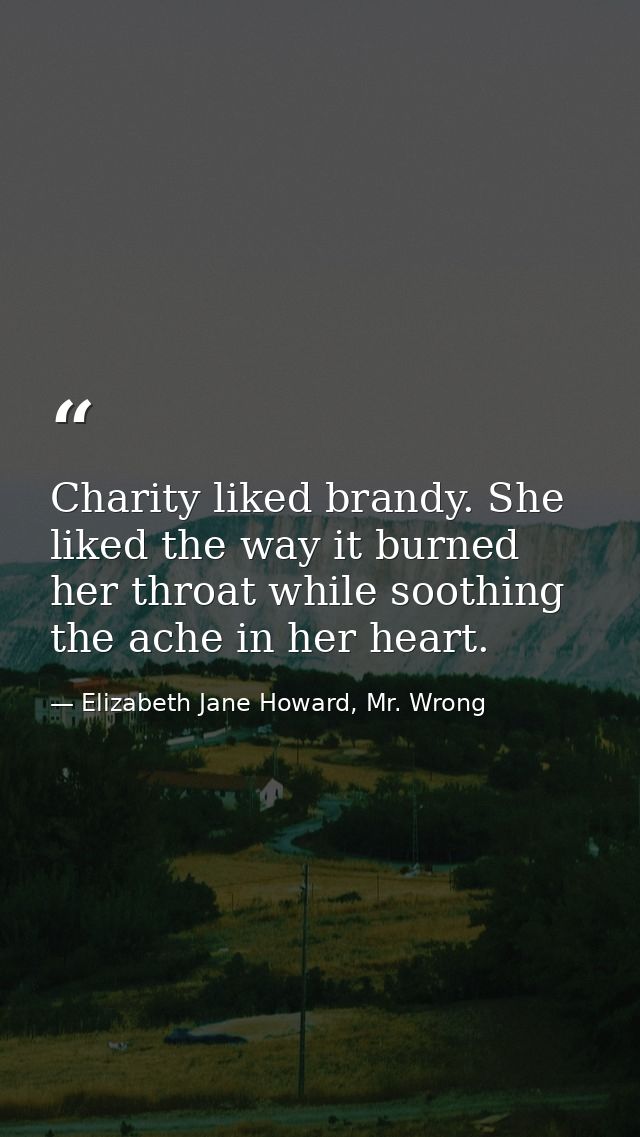 Charity liked brandy. She liked the way it burned her throat while soothing the ache in her heart. — Elizabeth Jane Howard, Mr. Wrong