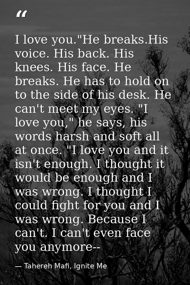 I love you."He breaks.His voice. His back. His knees. His face. He breaks. He has to hold on to the side of his desk. He — Tahereh Mafi, Ignite Me
