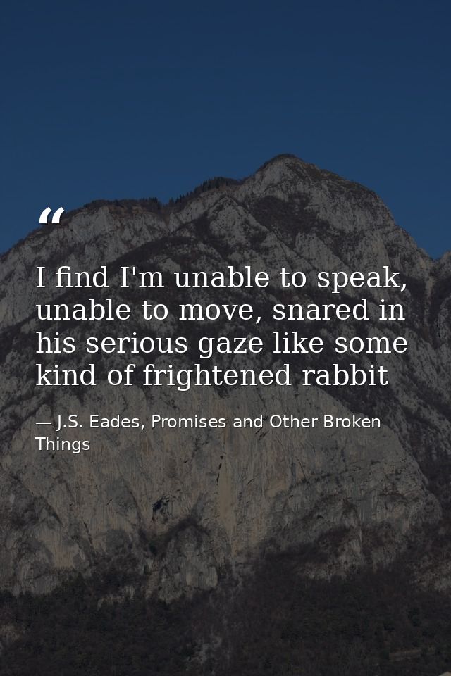 I find I'm unable to speak, unable to move, snared in his serious gaze like some kind of frightened rabbit — J.S. Eades, Promises and Other Broken Things