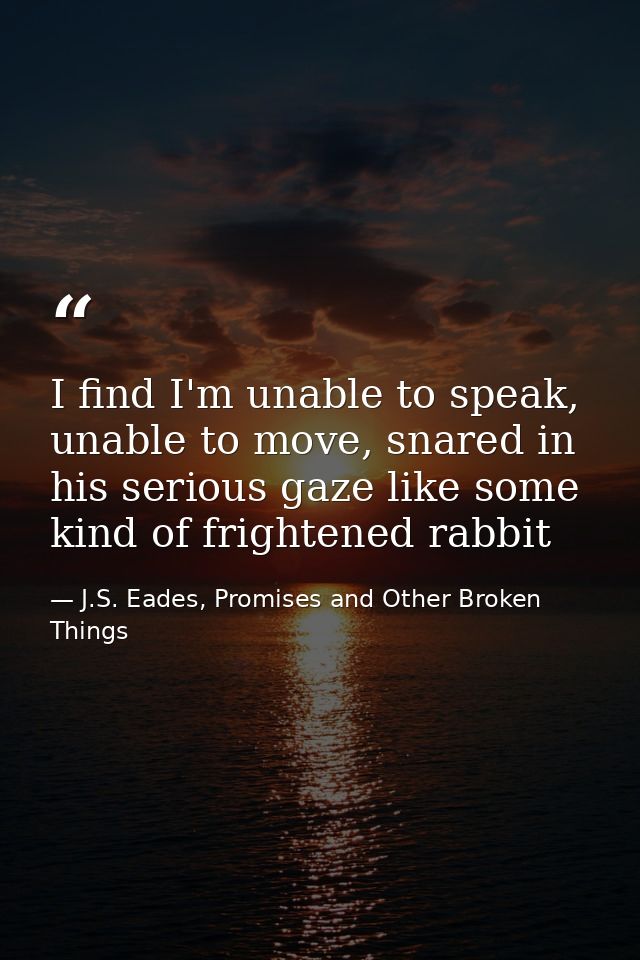 I find I'm unable to speak, unable to move, snared in his serious gaze like some kind of frightened rabbit — J.S. Eades, Promises and Other Broken Things