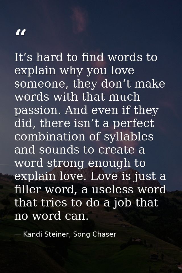 It’s hard to find words to explain why you love someone, they don’t make words with that much passion. And even if they  — Kandi Steiner, Song Chaser