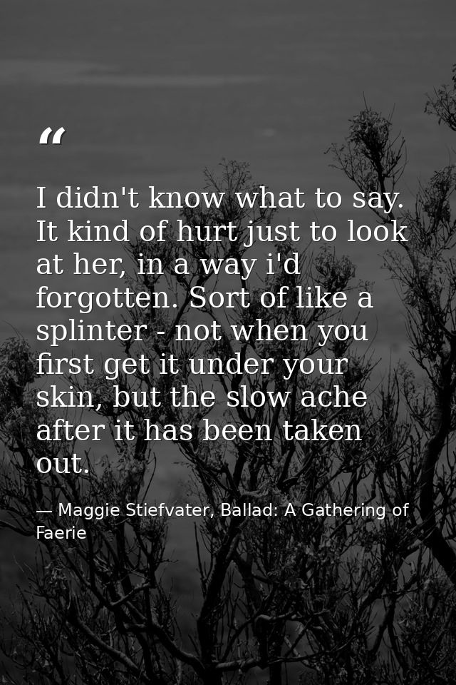 I didn't know what to say. It kind of hurt just to look at her, in a way i'd forgotten. Sort of like a splinter - not wh — Maggie Stiefvater, Ballad: A Gathering of Faerie