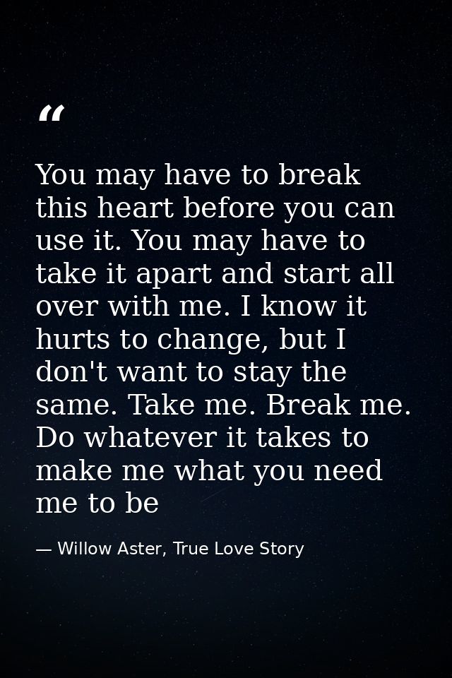 You may have to break this heart before you can use it. You may have to take it apart and start all over with me. I know — Willow Aster, True Love Story
