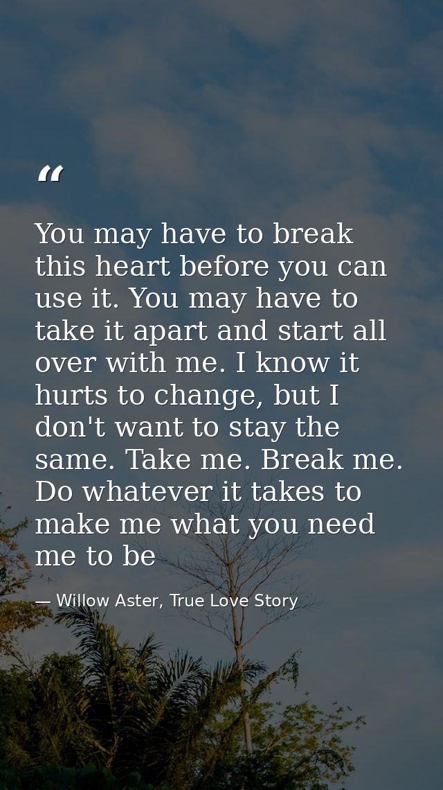 You may have to break this heart before you can use it. You may have to take it apart and start all over with me. I know — Willow Aster, True Love Story