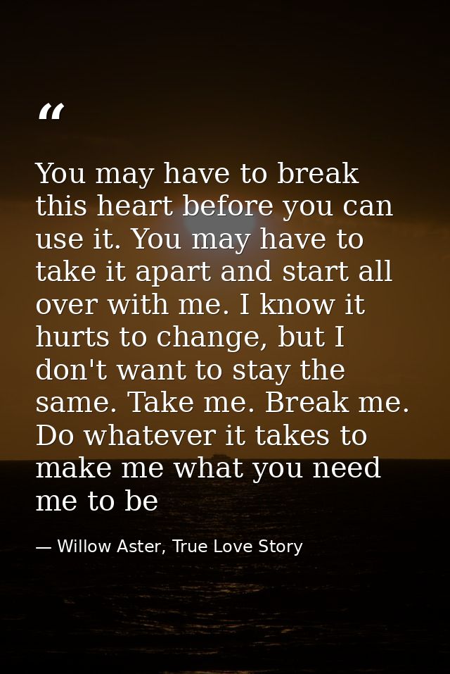You may have to break this heart before you can use it. You may have to take it apart and start all over with me. I know — Willow Aster, True Love Story