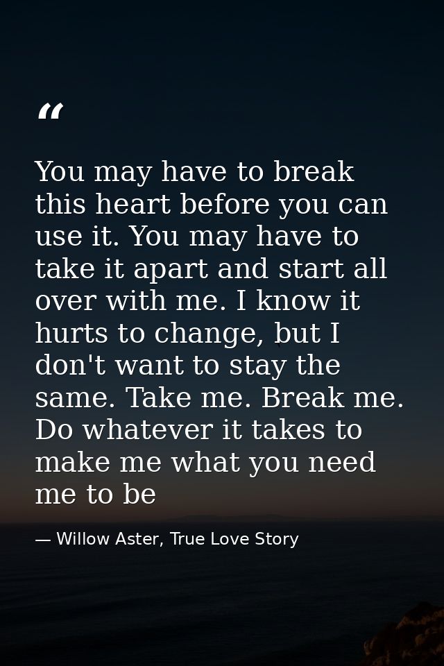 You may have to break this heart before you can use it. You may have to take it apart and start all over with me. I know — Willow Aster, True Love Story