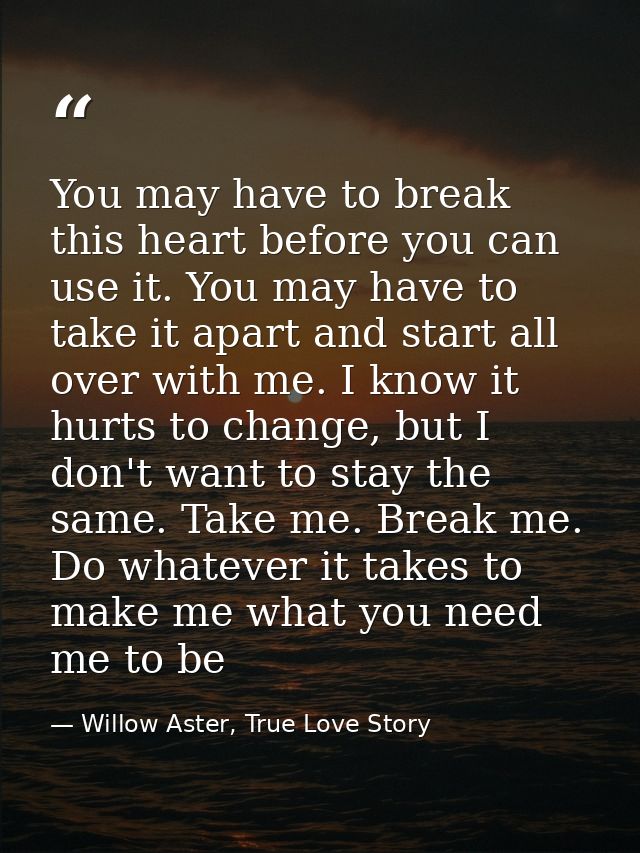 You may have to break this heart before you can use it. You may have to take it apart and start all over with me. I know — Willow Aster, True Love Story