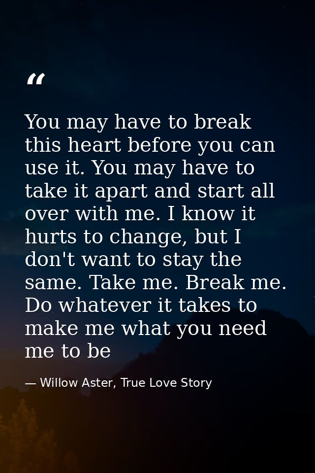 You may have to break this heart before you can use it. You may have to take it apart and start all over with me. I know — Willow Aster, True Love Story