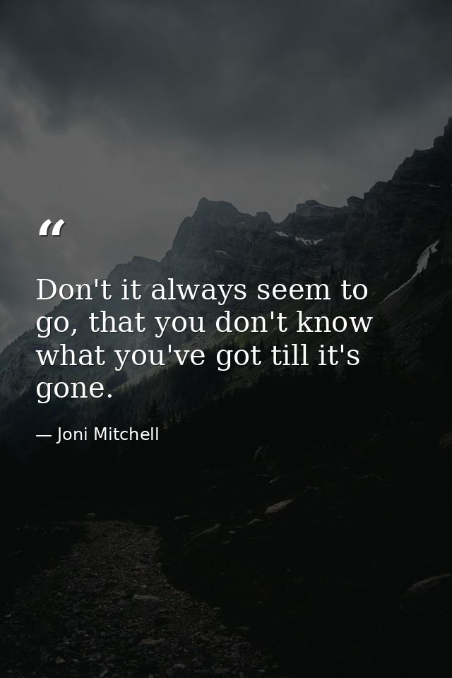 Don't it always seem to go, that you don't know what you've got till it's gone. — Joni Mitchell