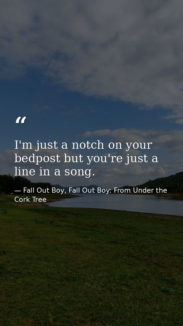 I'm just a notch on your bedpost but you're just a line in a song. — Fall Out Boy, Fall Out Boy: From Under the Cork Tree