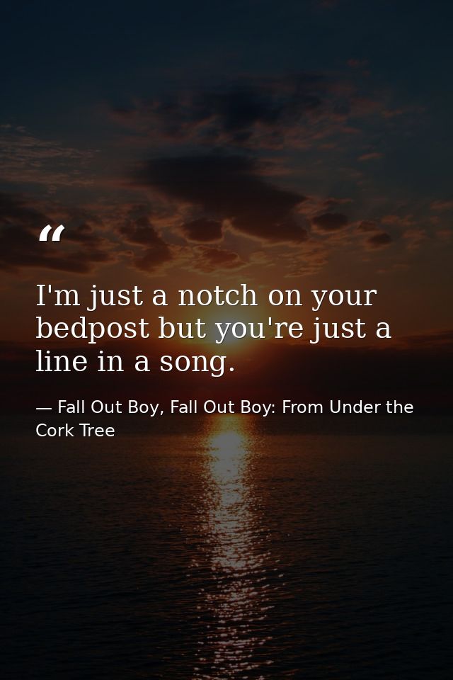 I'm just a notch on your bedpost but you're just a line in a song. — Fall Out Boy, Fall Out Boy: From Under the Cork Tree