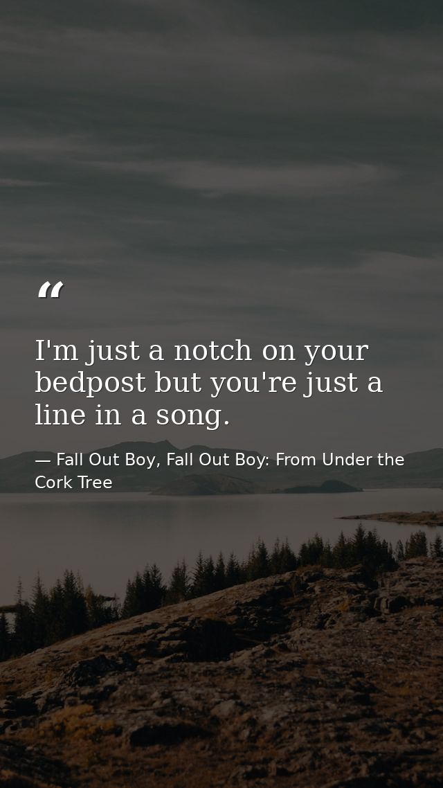 I'm just a notch on your bedpost but you're just a line in a song. — Fall Out Boy, Fall Out Boy: From Under the Cork Tree