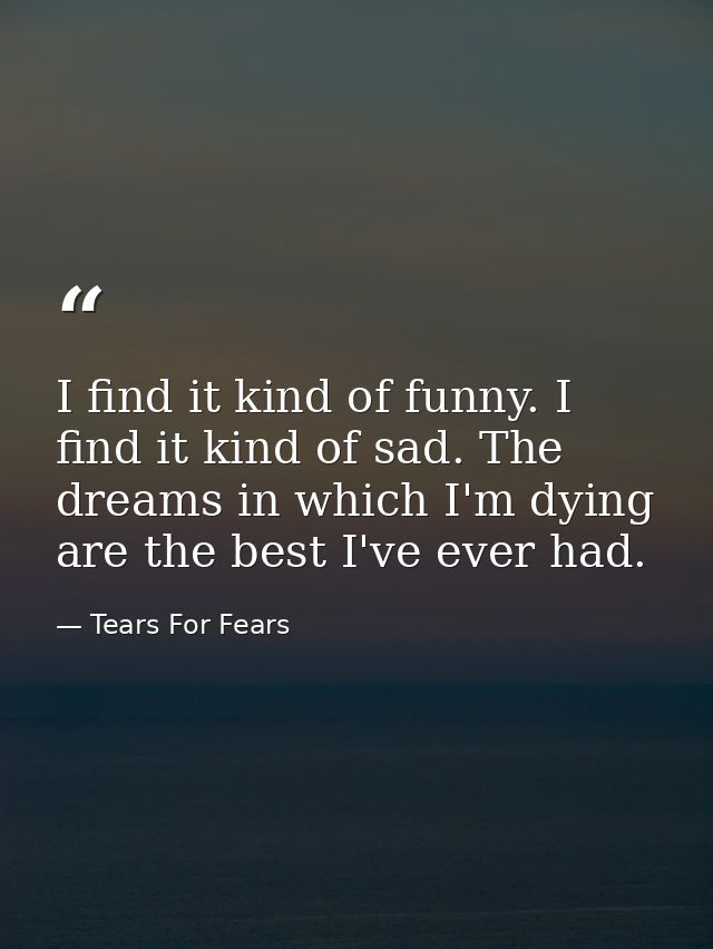 I find it kind of funny. I find it kind of sad. The dreams in which I'm dying are the best I've ever had. — Tears For Fears