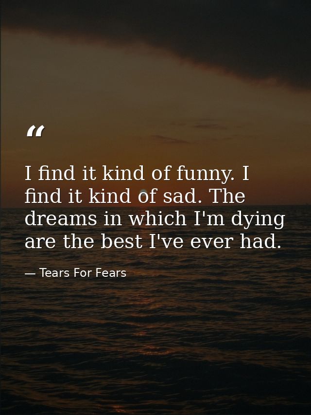 I find it kind of funny. I find it kind of sad. The dreams in which I'm dying are the best I've ever had. — Tears For Fears