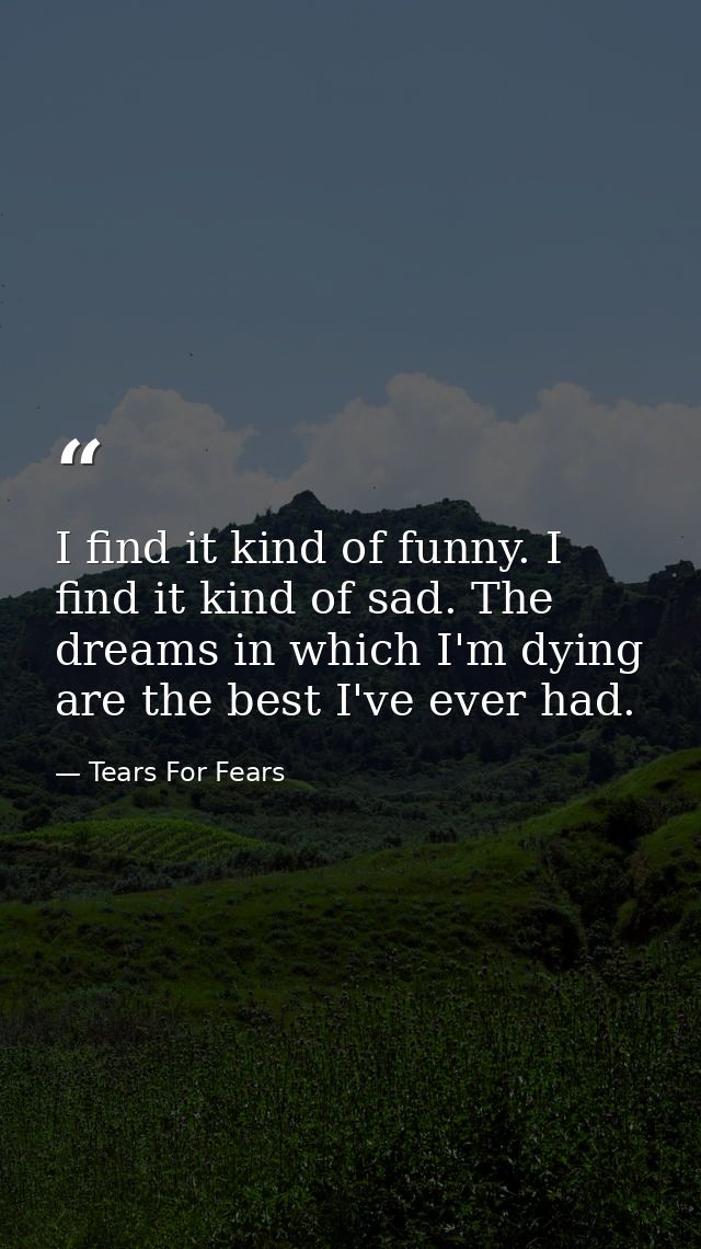 I find it kind of funny. I find it kind of sad. The dreams in which I'm dying are the best I've ever had. — Tears For Fears