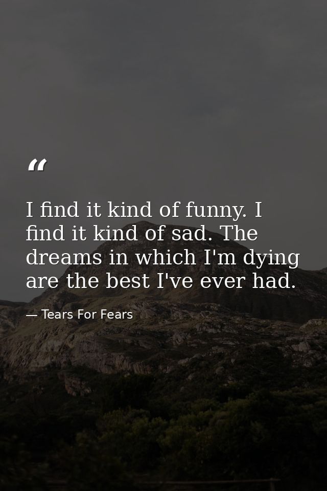 I find it kind of funny. I find it kind of sad. The dreams in which I'm dying are the best I've ever had. — Tears For Fears