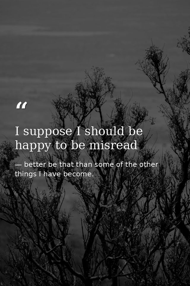 I suppose I should be happy to be misread — better be that than some of the other things I have become.