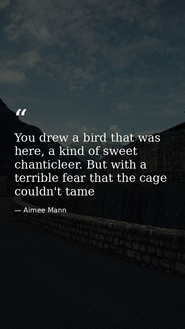 You drew a bird that was here, a kind of sweet chanticleer. But with a terrible fear that the cage couldn't tame — Aimee Mann